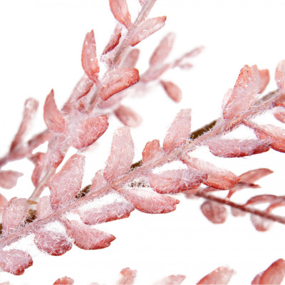 Декоративна гілка YES! Fun Рожева Засніжена 84 см (974812) Вінниця - фото 2