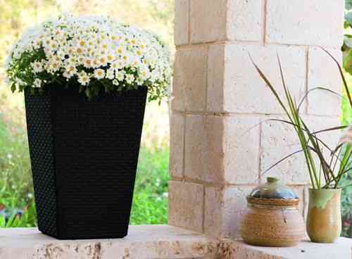 Горщик для рослин Keter Medium Rattan Planter сірий Київ