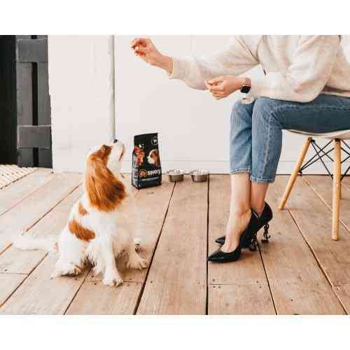 Корм сухой Savory Puppy rich in Fresh Turkey and Chicken для щенков всех пород со свежей индейкой и курицей 1 кг Киев