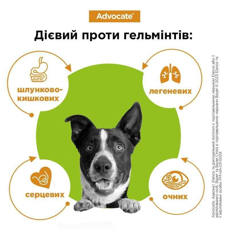 Краплі на холку для собак 4-10 кг проти бліх, кліщів, вошей, гельмінтів Bayer Elanco Advocate (Байєр Адвокат) 3х1мл Запоріжжя - фото 6