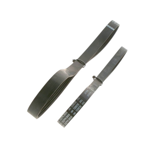 Ремень ручейковый 6PK1059 , 5PK868 Ford Focus 1.4, 1.6i 03- генератора Мукачево - изображение 1