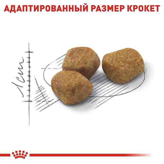 Royal Canin Indoor 7+ (Роял Канін Індор 7+) сухий корм для кішок 7-12 років Запоріжжя
