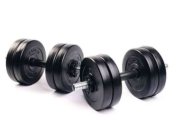 Гантелі Elitum 2 х 11кг Київ