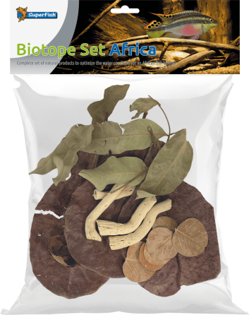 Листя катаппи BIOTOPE SET AFRICA (A4080450) Київ