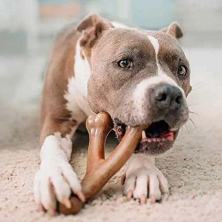 Жувальна іграшка для собак Бенебон Benebone Wishbone Bacon іграшка зі смаком бекону для собак до 40 кг (розмір L) Вінниця - фото 4