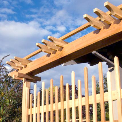 Пергола-шпалера "Фалуджа" бланже Миколаїв - фото 2