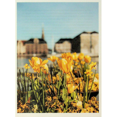 Книга Мистецтво праці по-данськи. Як знайти щастя у роботі й за її межами - Мік Вікінг КСД (9786171507203) Вінниця - фото 2