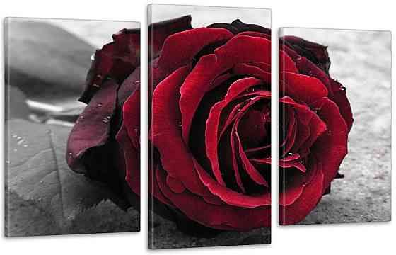 Модульная картина Роза Art-32_3 Киев