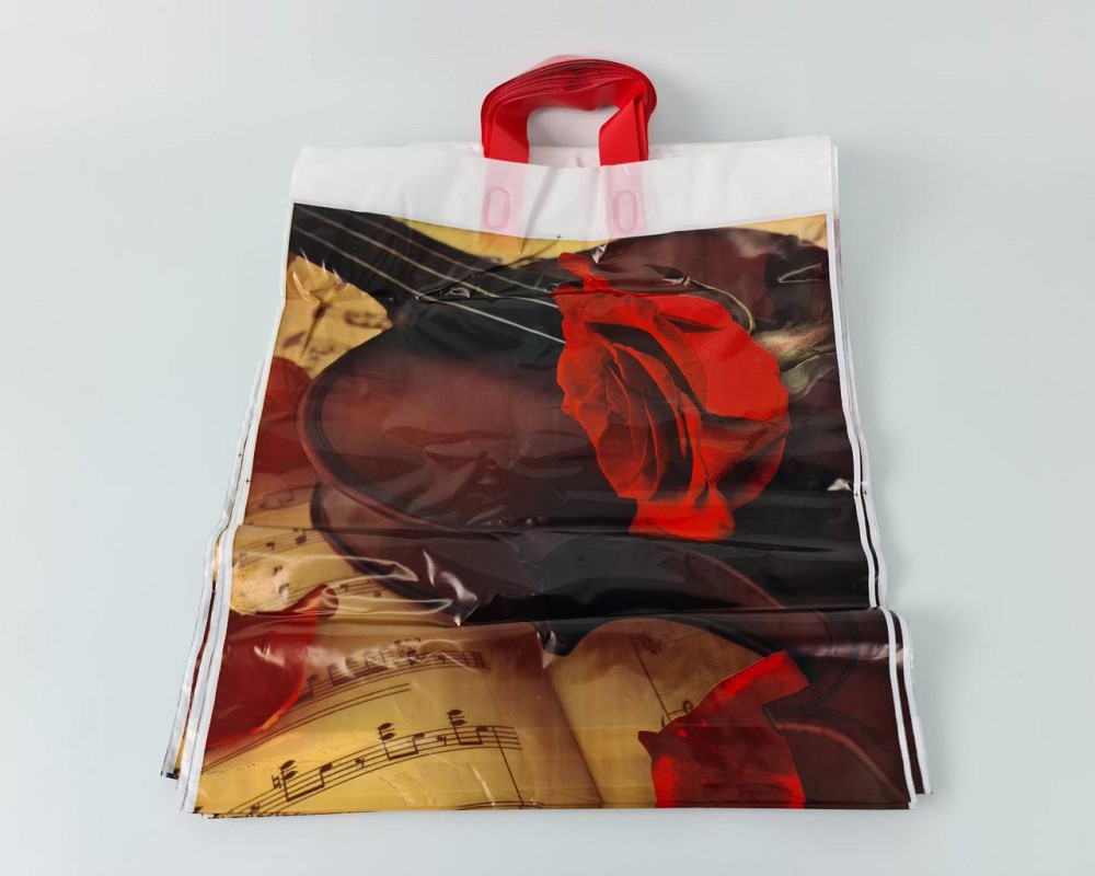 Пакет с петлевой ручкой (42*50+5) 