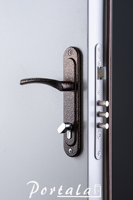 Двері технічні, ЕИ30, сіра шагрень,на трубі, 850 Київ - фото 3