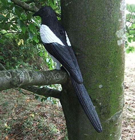 Сорока Київ - фото 3