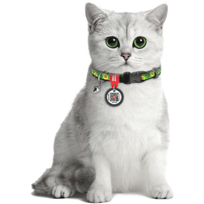 Ошейник для животных WAUDOG Авокадо с QR паспортом XS 20-30 см (5280) Винница - изображение 5