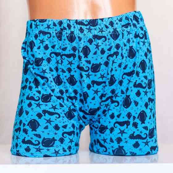 Набір підліткових боксерів на хлопчика з 5 шт. Tom John 541305 12-13 Київ