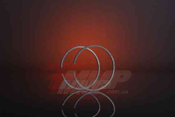 Кольца бензопила для Goodluck GL5200 (Ø45mm) Мукачево