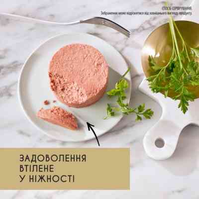 Паштет для кошек Purina Gourmet Gold. С индейкой 85 г (7613031380992) Винница