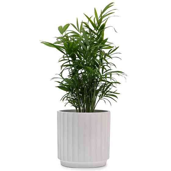 elemi Кашпо для квітів керамічне elemi "Грань" (білий) 16" круглий 2,4 л Коломыя