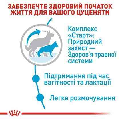 Royal Canin Maxi Starter (Рояв Канін Максі Стартер Мазер Бебідог) корм для великих вагітних і кормових собак 4 кг. Запоріжжя