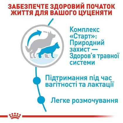 Royal Canin Maxi Starter (Рояв Канін Максі Стартер Мазер Бебідог) корм для великих вагітних і кормових собак 4 кг. Запоріжжя - фото 3