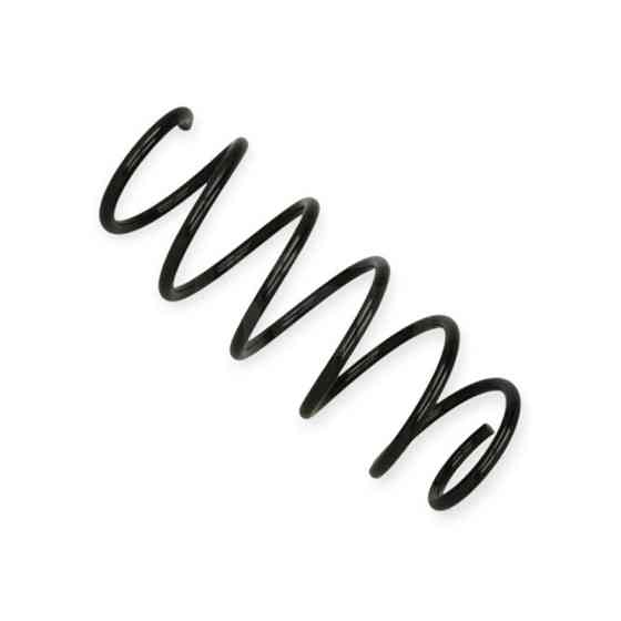 Пружина Skoda Fabia, Roomster (99-15) передняя Мукачево