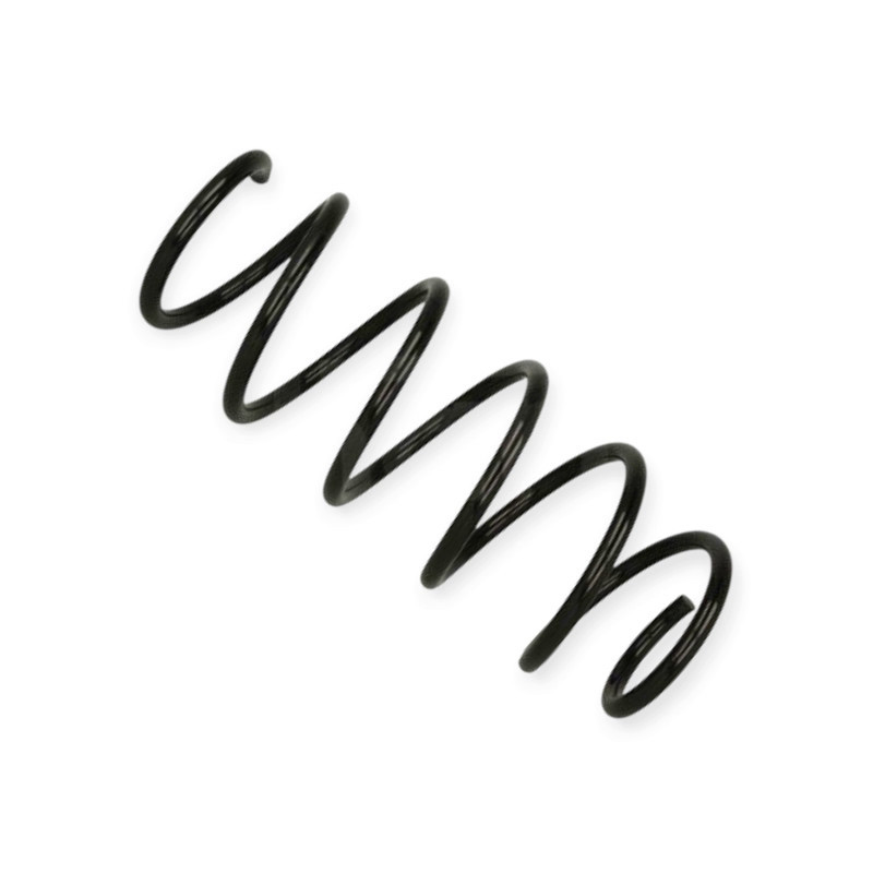 Пружина Skoda Fabia, Roomster (99-15) передняя Мукачево - изображение 1