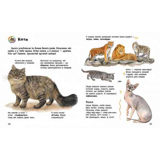 Енциклопедія дошкільника Домашні тварини 614029 для найменших Вінниця