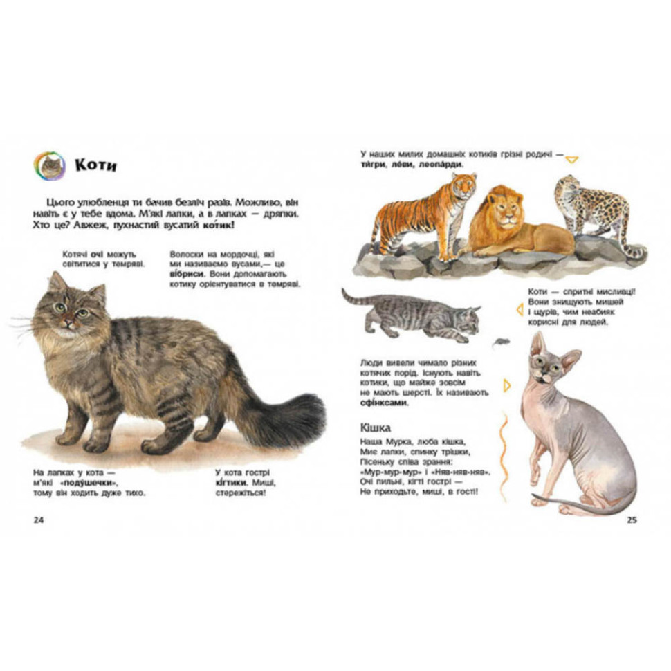 Енциклопедія дошкільника Домашні тварини 614029 для найменших Вінниця - фото 2