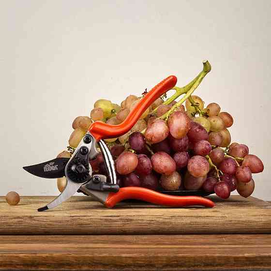 Flora Секатор обводной 200мм нержавеющая сталь FLORA (5021404) Киев