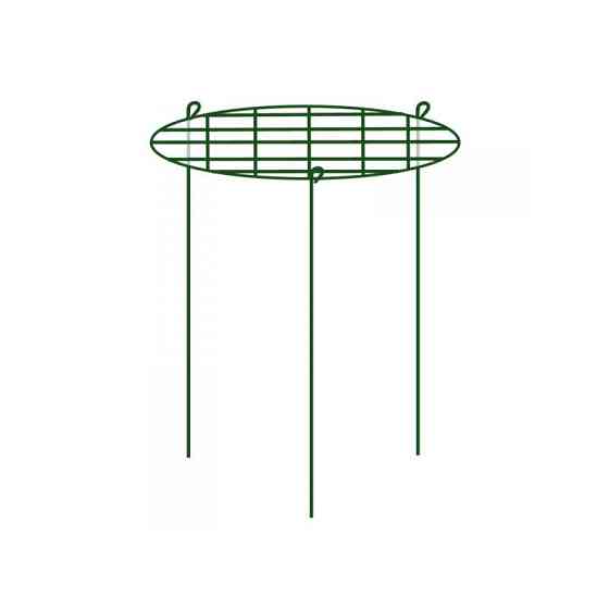 Опора для растений кольцевая 75см, Ø50см, TYRP15075S Киев