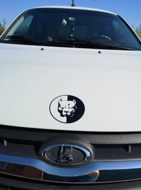 Наклейка на авто-мото Пітбуль Чорна, Біла світло Київ - фото 4