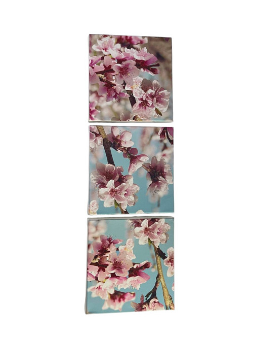 Набір картин 