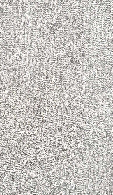 Обои виниловые на флизелине AS creation Deluxe метровые однотон матовые эффект размытости бежевые 39939-6 Киев - изображение 2