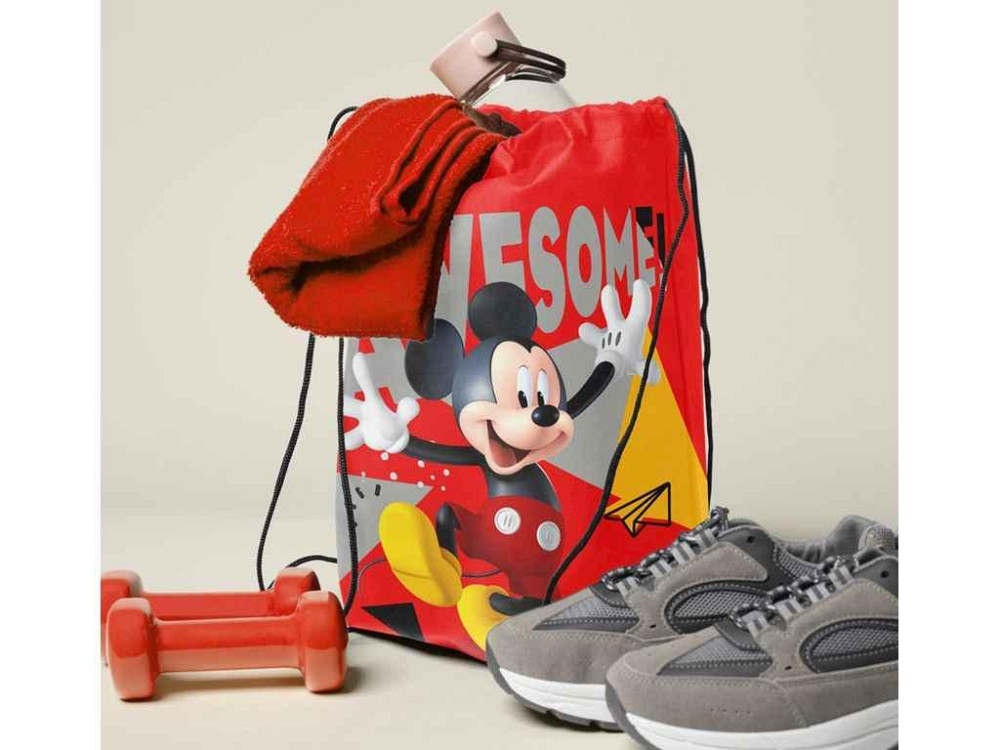 Сумка для взуття (MICKEY Disney) Little Star ТМ LEADER Київ - фото 1