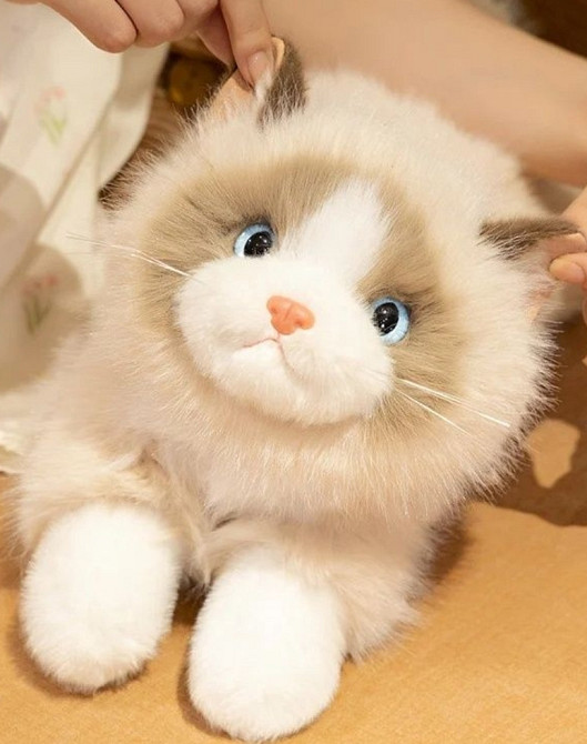 Преміум реалістична плюшева кішка-іграшка як жива ексклюзив 55 см. Харків - фото 1