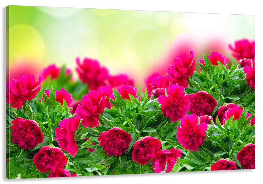 Картина холст в гостиную / спальню   Квіти  MLP_124 90х180см Київ - фото 1