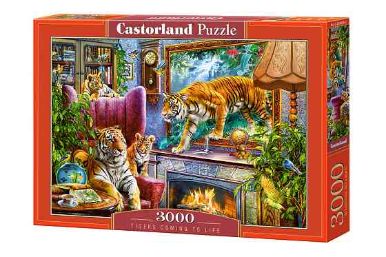 Пазлы Castorland 3000, шт Київ