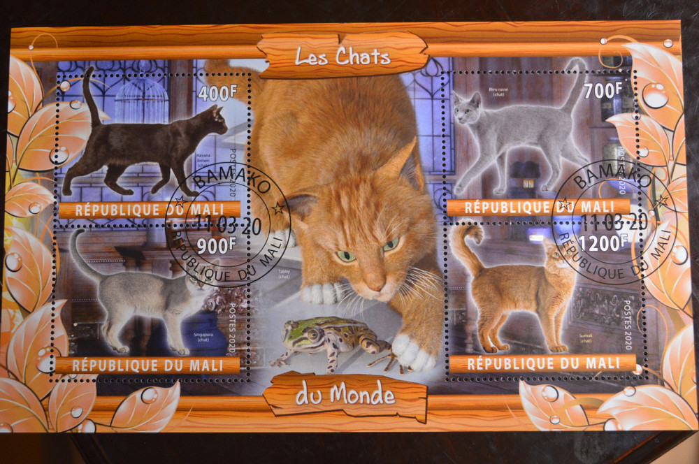 Малі. Марки. Фауна. Блок. 2020 рік (У-2) Полтава - фото 1