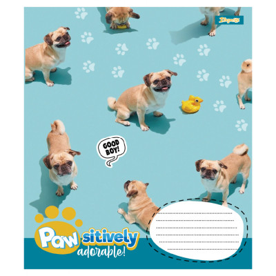 Зошит 1 вересня Pawsitively А5 24 аркушів клітинка (768240) Вінниця - фото 4