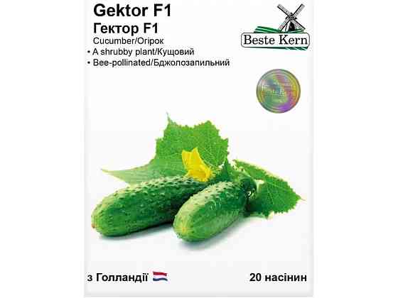 Огурец Гектор F1 (20 семян)/(5 пачек в упаковке) ТМ Beste Kern Киев