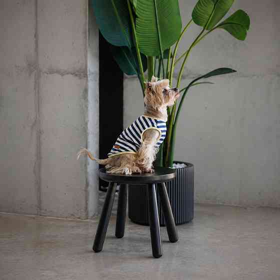 Майка Pet Fashion Tropic для собак L Київ