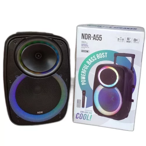 Професійна Bluetooth колонка NDR-A55 15-дюймова з бездротовим мікрофоном Київ