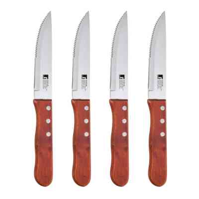 Набор ножей Bergner Bbq lovers для стейків, 4 предмети (BG-40201-MM) Винница