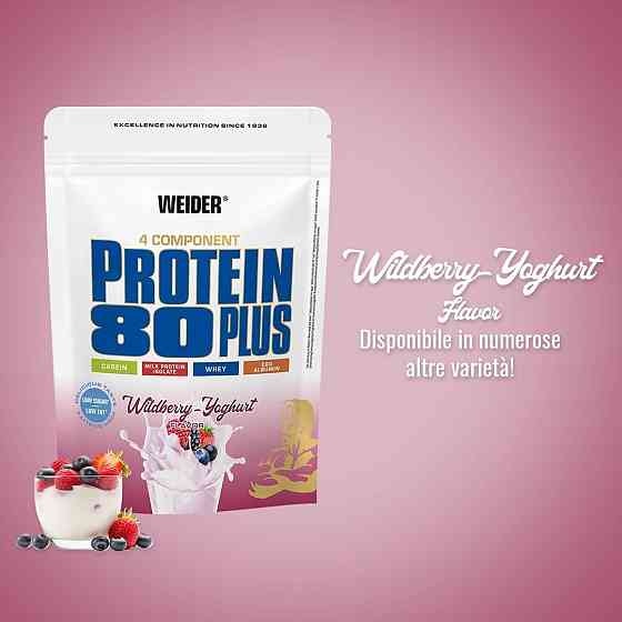 Протеин Weider Protein 80 Plus 500 g (Wild berry-Yogurt) Луцк