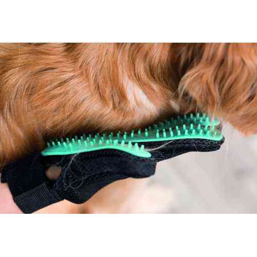 Рукавичка Trixie для вичісування шерсті, 16х24 см Київ