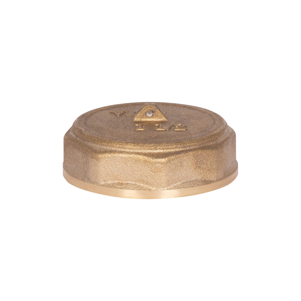 Заглушка Thermo Alliance Standart 1 1/2" ВР SD40240 Київ - фото 10