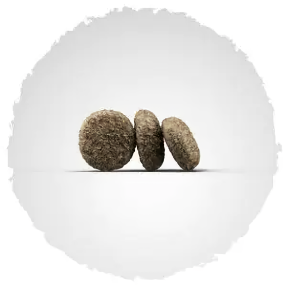 Сухий корм Josera MiniJunior (МініЮніор) для цуценят і дорослих собак дрібних порід, 10 кг Вінниця