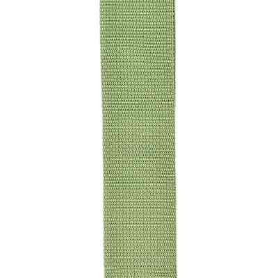 Ремень для гитары D'Addario PolyPro Guitar Strap Green (PWS107) Винница