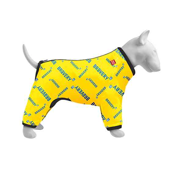 Вітровка для собак WAUDOG Clothes, малюнок "Сміливість", L50, В 70-74 см, С 47-50 см Київ