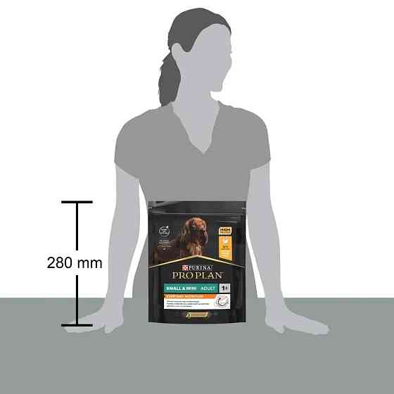 Сухой корм PRO PLAN Small&Mini Adult 1+ Everyday Nutrion для взрослых собак мелких пород, с курицей, 700 г Киев