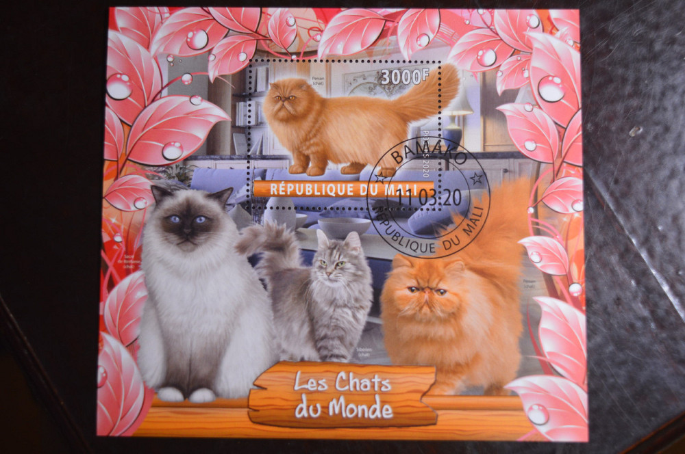 Малі. Марки. Фауна. Блок. 2020 рік (В-1) Полтава - фото 1