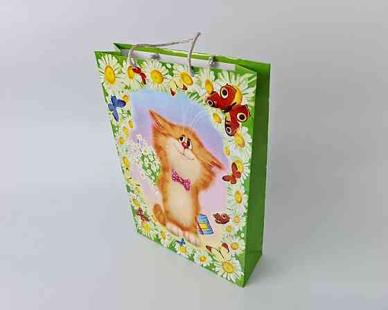 Большой бумажный пакет вертикальный  25/37/8(артBV-041) (12 шт) Харьков